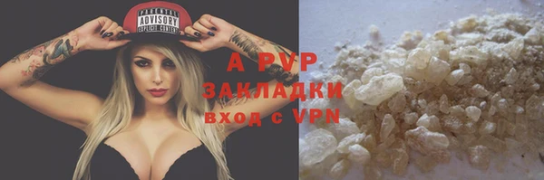 прущие грибы Нягань