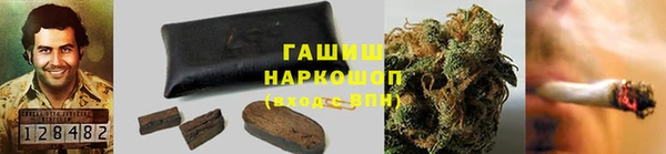 прущие грибы Нягань