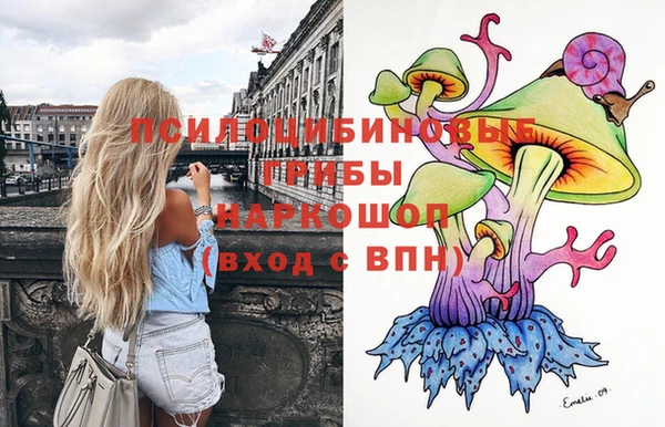 дмт Беслан