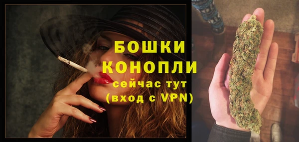 спиды Осташков