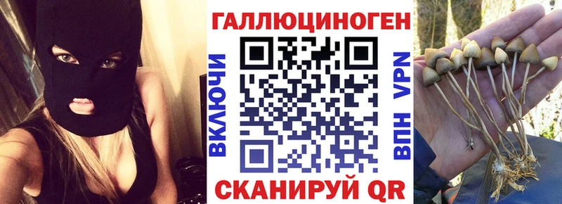 Галлюциногенные грибы Magic Shrooms Ленинск
