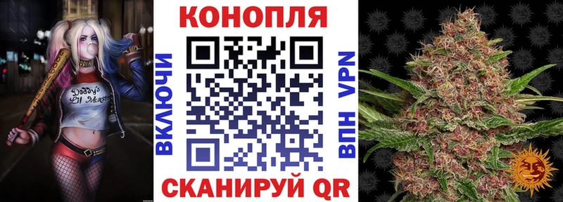 закладка  Ленинск  Канабис Ganja 